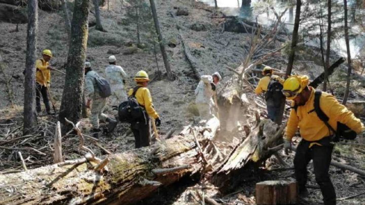 Incendio forestal en Sahuaripa está controlado al 55%; los de Yécora y Carbó están liquidados
