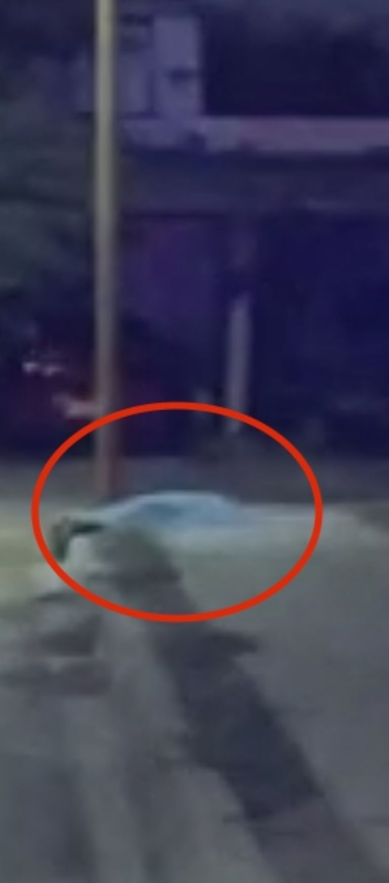 En la imagen, la víctima que quedó tendida en vía pública de Ciudad Obregón.