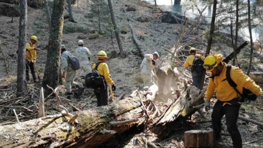 Incendio forestal en Sahuaripa está controlado al 55%; los de Yécora y Carbó están liquidados