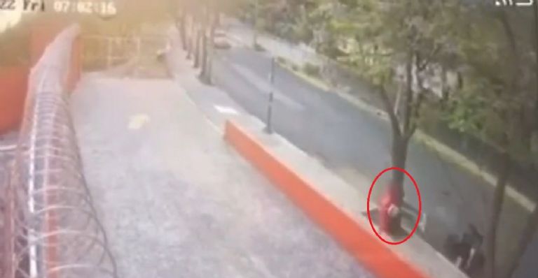 En la imagen, joven colisiona contra árbol en CDMX y muere.