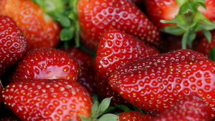 Autoridades sanitarias de EU 'culpan' a fresas mexicanas por brotes de hepatitis A
