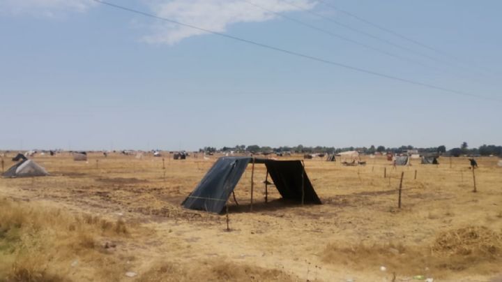 Ciudad Obregón: Sigue la invasión en Cbta 38; maestros marcharán mañana