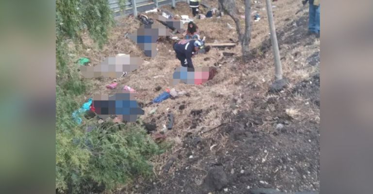 Choque de combi contra árbol deja 13 muertos