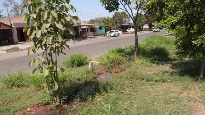 Ciudad Obregón: reportan fuga de agua potable en la colonia Aves del Castillo