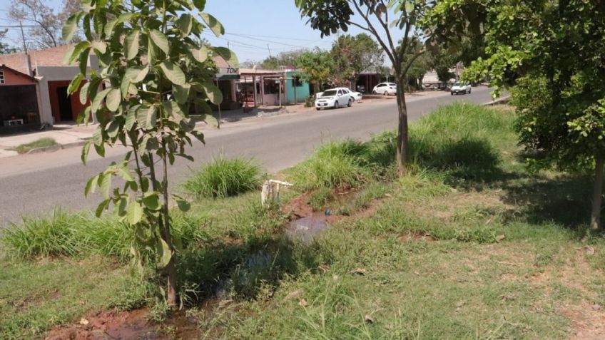 Ciudad Obregón: reportan fuga de agua potable en la colonia Aves del Castillo