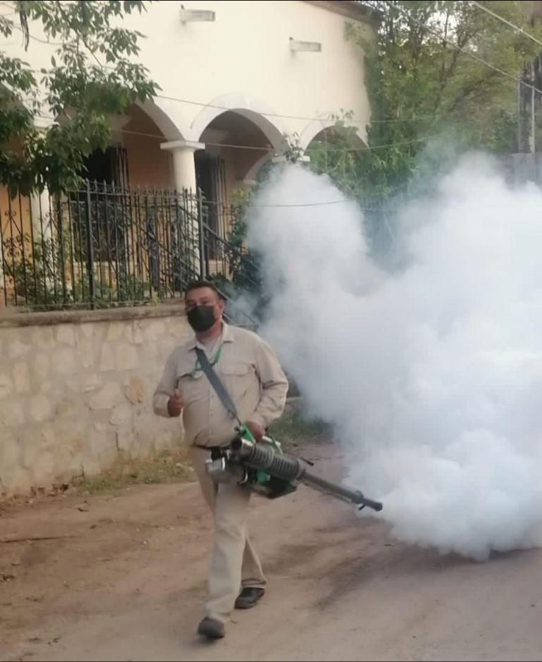 La Región del Mayo registra 90 por ciento de los casos de dengue en Sonora. Foto: Cortesía