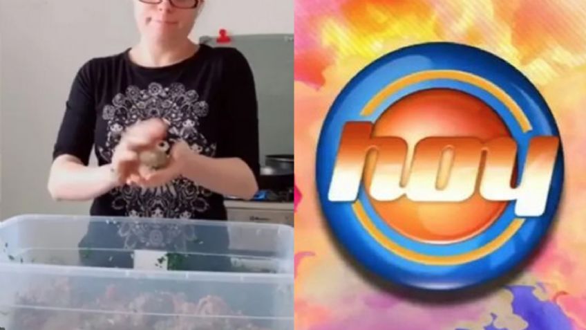 Tras vender comida para vivir y perder exclusividad, actriz de Televisa se ahoga en llanto en 'Hoy'