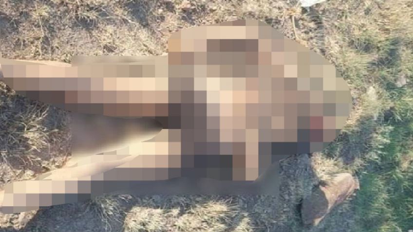 Hidalgo: Sobre maleza, encuentran el cuerpo de una persona con múltiples golpes