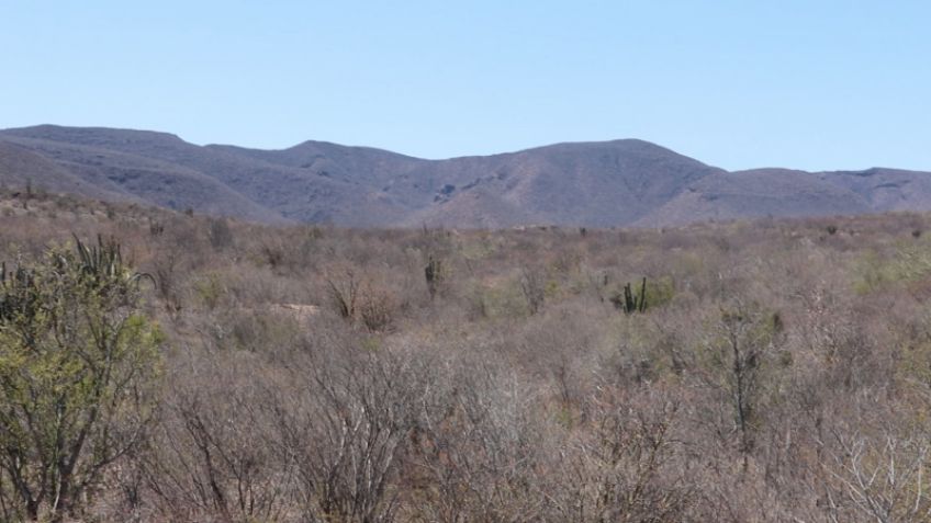 Plan de Justicia Yaqui: Proyecto para restituir tierras de la etnia en Sonora avanza lento