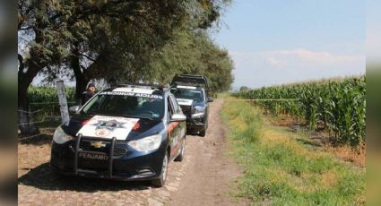 Sobre un camino parcelario, encuentran el cadáver de un joven en Pénjamo