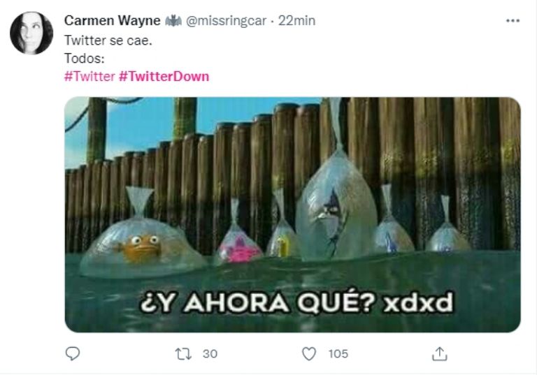 Usuarios crean memes tras la caída de Twitter. Foto: Twitter