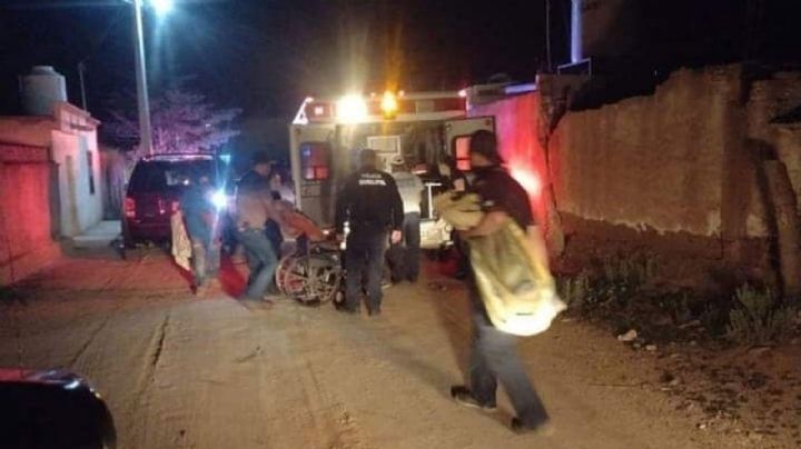 Sonora: Fallece adulto mayor al no superar las múltiples picaduras de abejas que sufrió