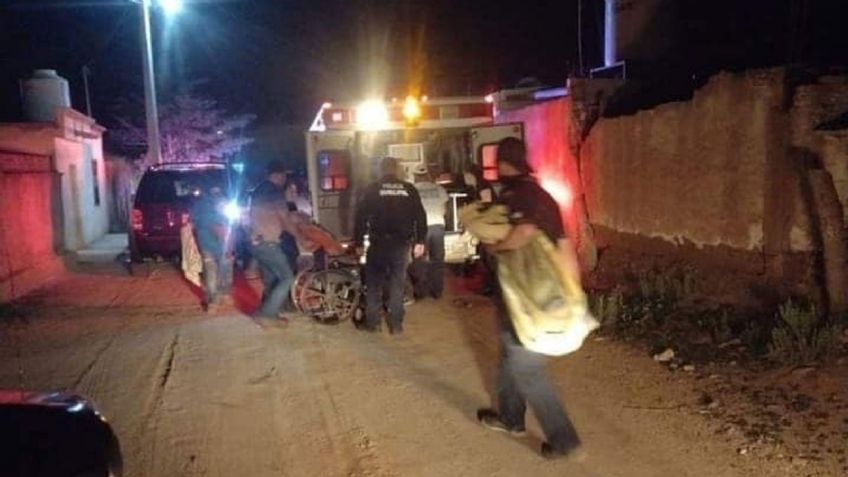 Sonora: Fallece adulto mayor al no superar las múltiples picaduras de abejas que sufrió