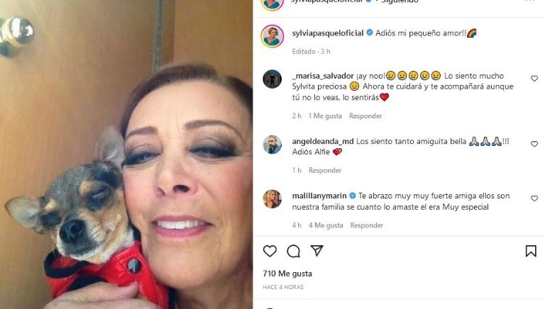 Sylvia Pasquel y 'Alfie'