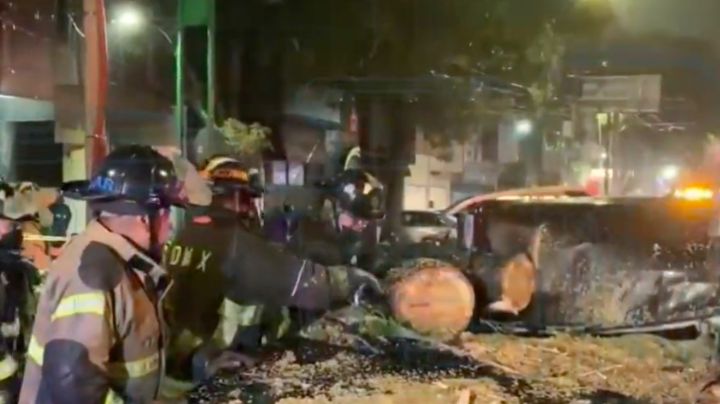 Fuerte lluvia en CDMX derriba un árbol; Cae sobre una camioneta y aplasta a sus tripulantes