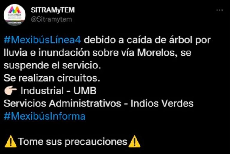 Caída de árbol Ecatepec 