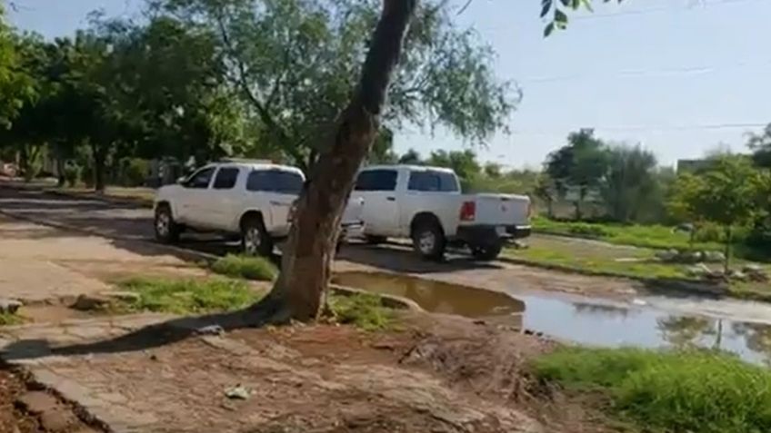 Terror en Ciudad Obregón: Salen de su vivienda y se encuentran un cuerpo desmembrado