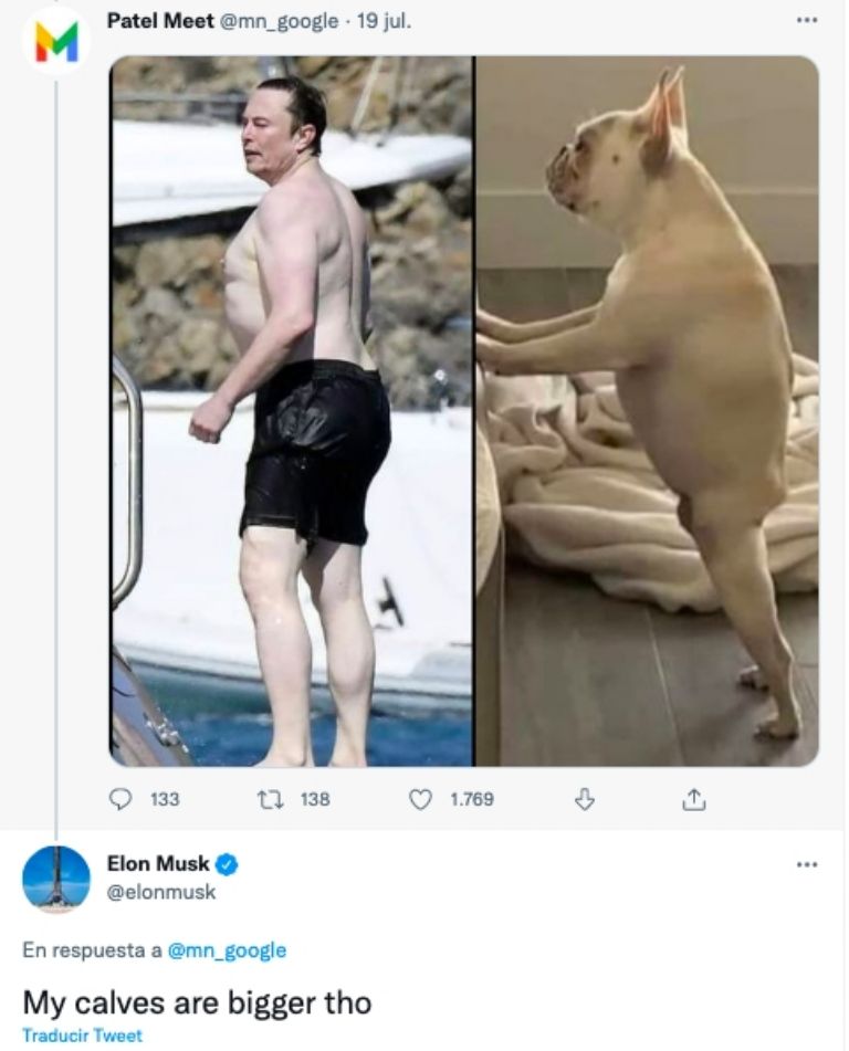 Meme Elon Musk 