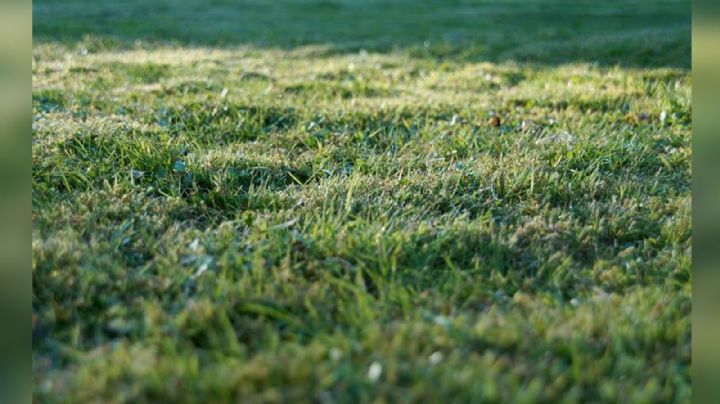 Campesinos localizan cadáver en estado putrefacto en Tabasco; murió de forma misteriosa