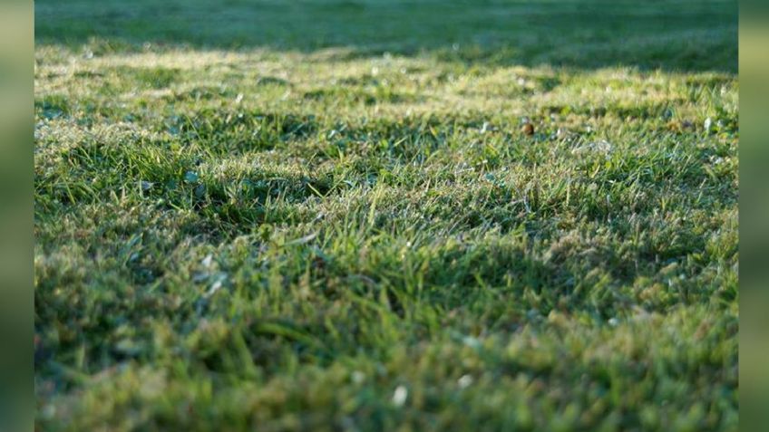 Campesinos localizan cadáver en estado putrefacto en Tabasco; murió de forma misteriosa