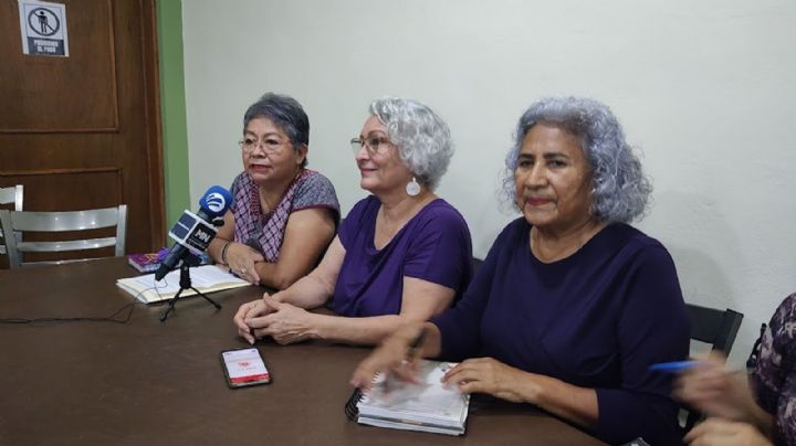 Colectivos feministas buscan hacer ley la iniciativa 3 de 3 en Sonora