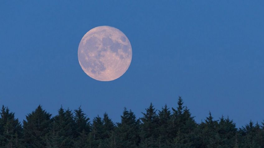Este día será visible la Superluna de Ciervo; el satélite se verá más grande y brillante