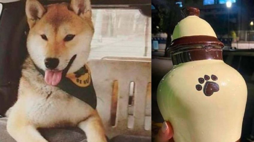 Mujer busca justicia para 'Maple': Envió a su perro a entrenamiento y regresó en cenizas