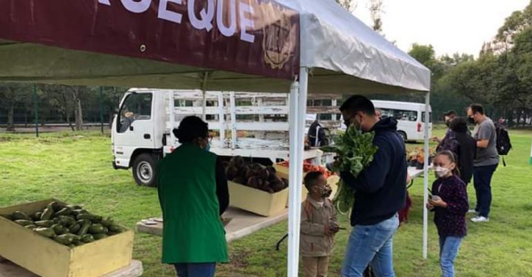Mercado de Trueque de la CDMX