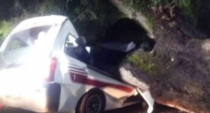 (VIDEO) Lamentable: Por lluvias, suelo se reblandece y árbol cae sobre una 'combi'; chofer murió