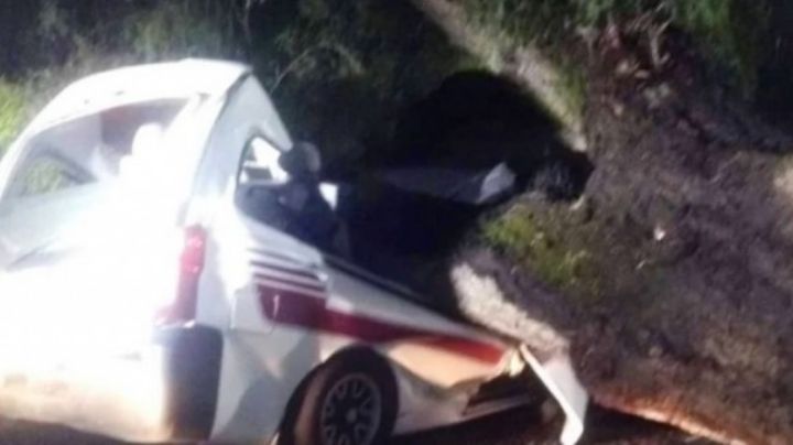 (VIDEO) Lamentable: Por lluvias, suelo se reblandece y árbol cae sobre una 'combi'; chofer murió