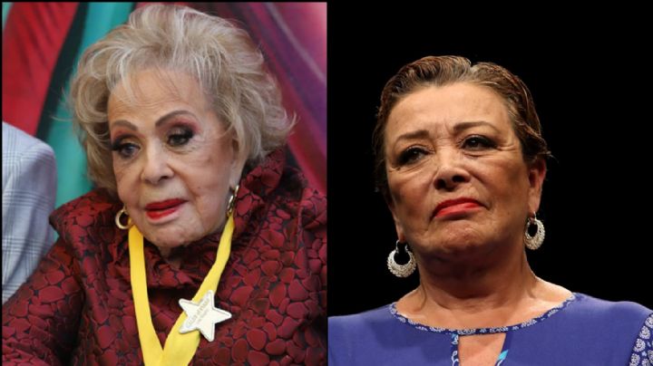 Shock en la farándula: Hija de Silvia Pinal confirma sorpresiva noticia en redes sociales