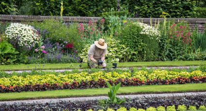 La Sedema convoca al primer concurso para jardineros en la CDMX; habrá grandes premios