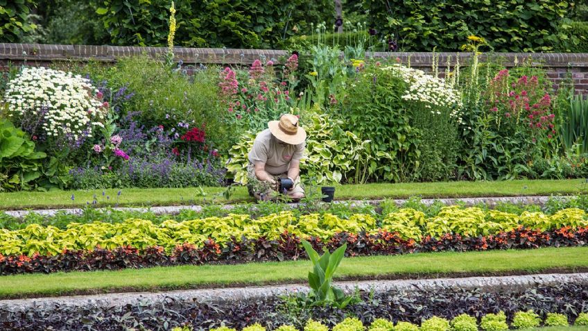 La Sedema convoca al primer concurso para jardineros en la CDMX; habrá grandes premios