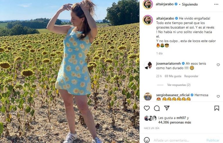Publicación de Altair Jarabo entre girasoles