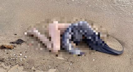 De terror: bañistas encuentran 'cadáver' en la playa; resultó ser un juguete para adultos
