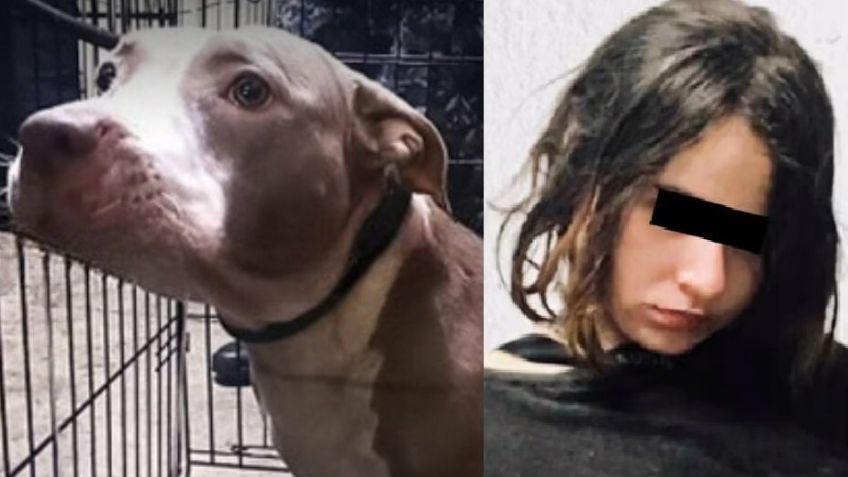 Será adoptada: Luna, la perrita de Karla 'N', la joven que asesinó a su mamá y su tío