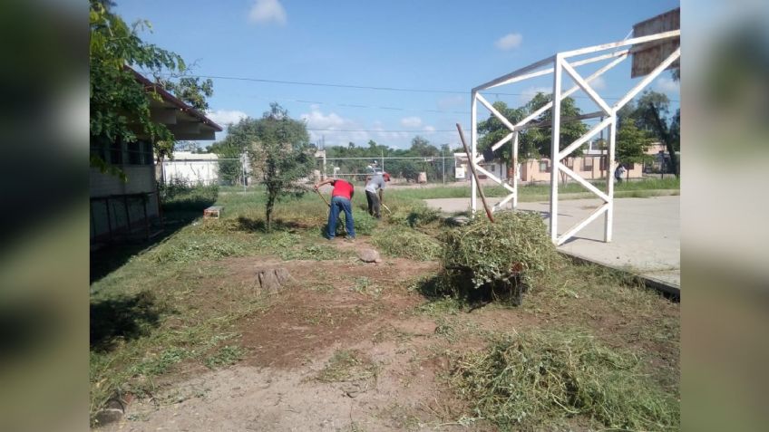Dengue: Principal amenaza durante el regreso a clases en Navojoa