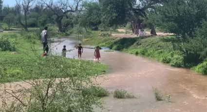 Tras las recientes lluvias, Río Mayo en Navojoa 'revive'; se observa un notable flujo de agua