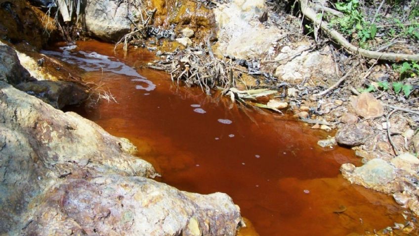 Grupo México, intocable: Suma 8 años impune tras derrame tóxico en el Río Sonora 