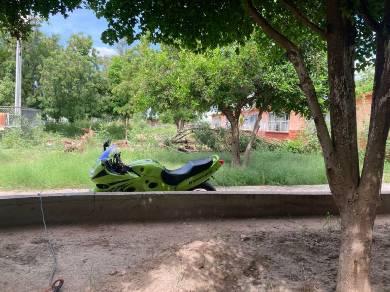 Escuela del Sur de Sonora llena de maleza. Foto: TRIBUNA