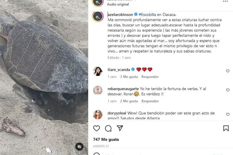 Azela Robinson y las tortugas