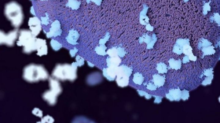 EU declara emergencia sanitaria nacional ante la alza de contagios por viruela del mono