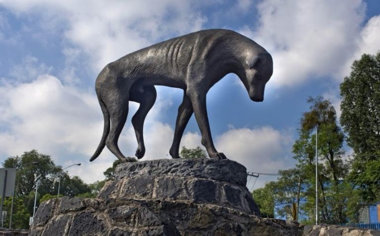 Monumento al perro callejero 