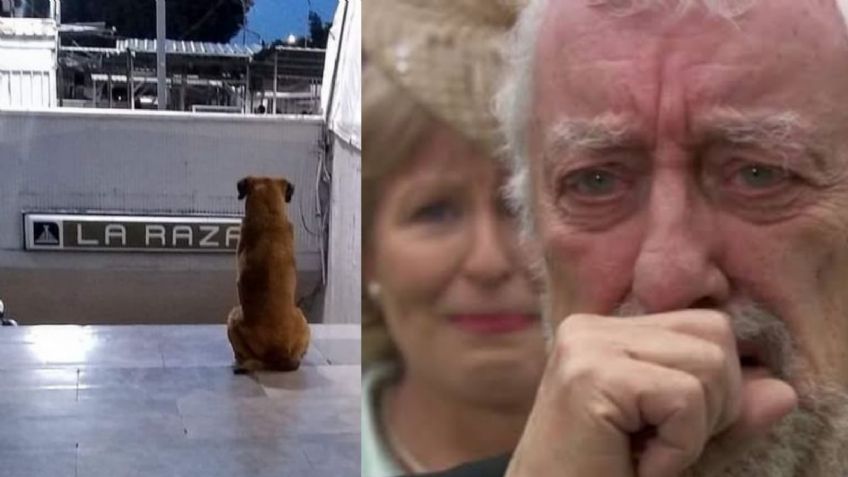 No solo son mascotas: Perro va diario al Metro La Raza; espera a su dueña muerta