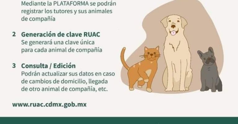 registro de animales de compañía