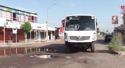 Camioneros aseguran que unidades nuevas para Ciudad Obregón "no son una solución"