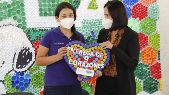 En la Álvaro Obregón abrirán centros de acopio para apoyar a las y los niños con cáncer