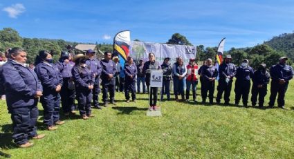 CDMX verde: Plantan más de 28 mil árboles en la alcaldía Tlalpan, buscan reforestar la zona