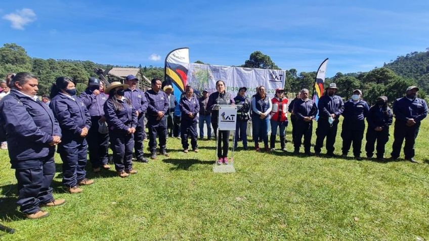 CDMX verde: Plantan más de 28 mil árboles en la alcaldía Tlalpan, buscan reforestar la zona