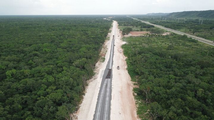 Si eres de la CDMX podrías laborar en el Tren Maya; Buscan empleados para culminar obras